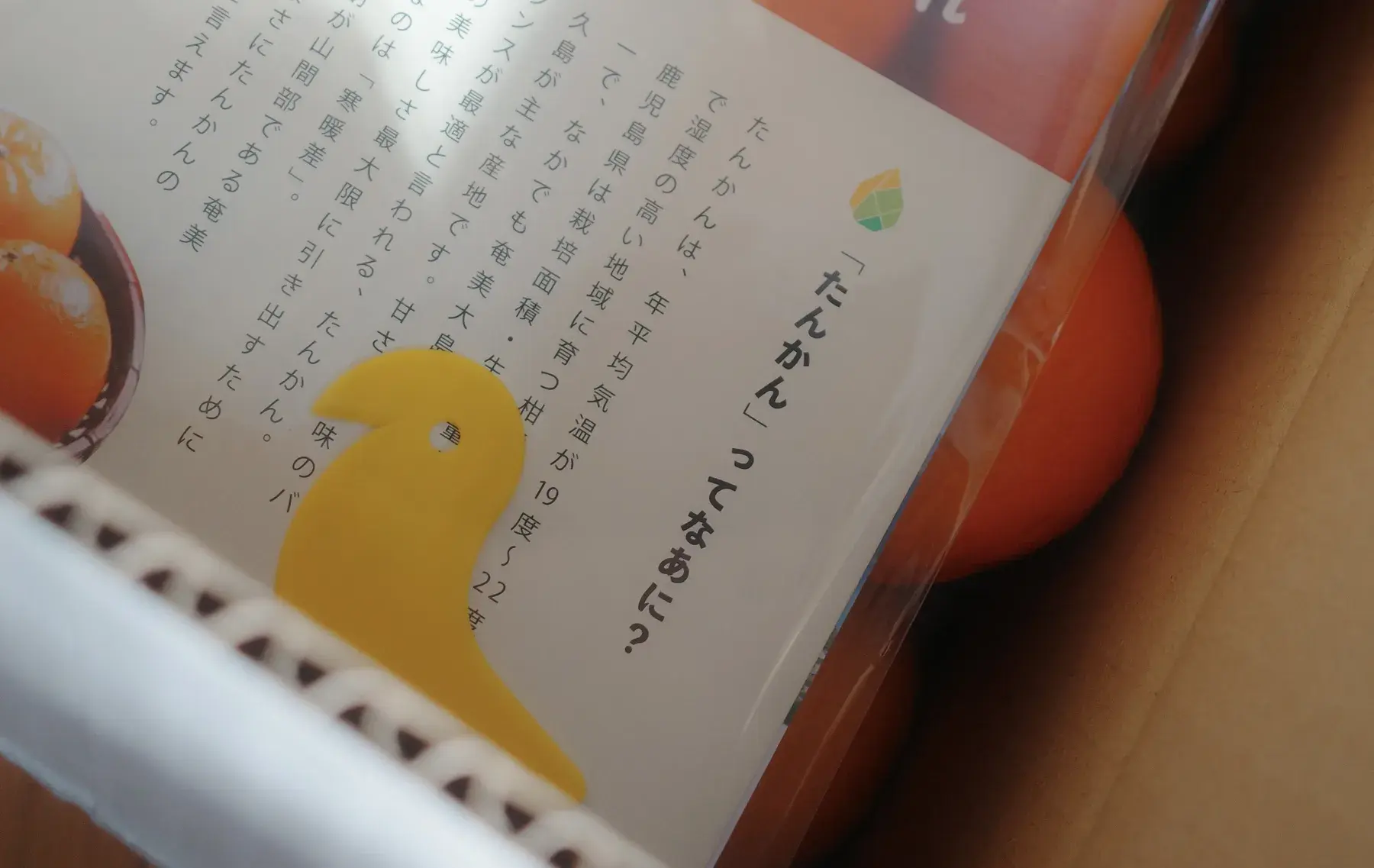 箱に入っていたひよこの皮剥き器